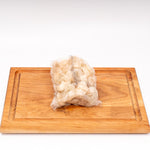 Camarón Crudo Mediano Golden x500g