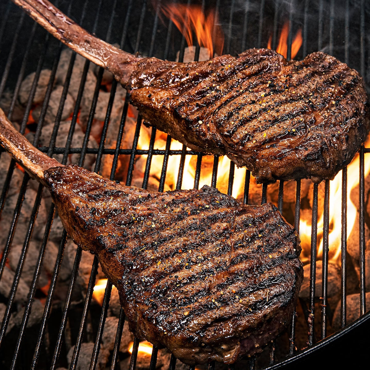 Gold Kit Certified Angus Beef®